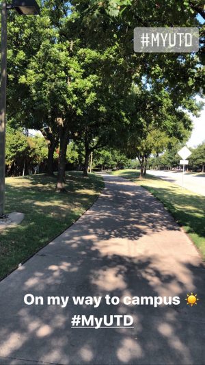A sidewalk covered in dappled shade and lined by green-leaved trees. Sun emoji.