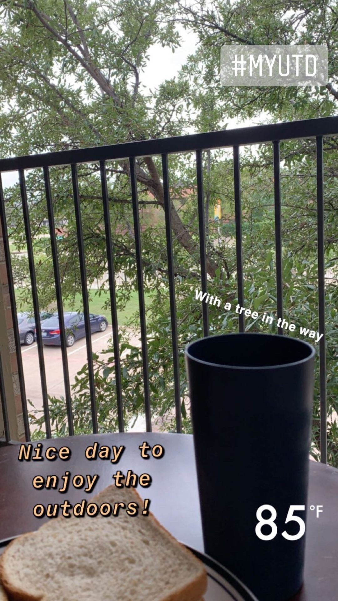 View from seated at a table on a balcony. A sandwich on a plate and a cup are on the table. There's a tree with green leaves right in front of the balcony. Parking lot with two cars can be seen past the tree.