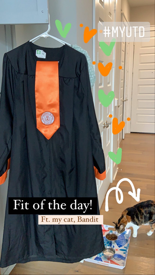 Graduation robe and orange sash hanging up on a curtain. A calico cat is eating from a bowl on the floor nearby.