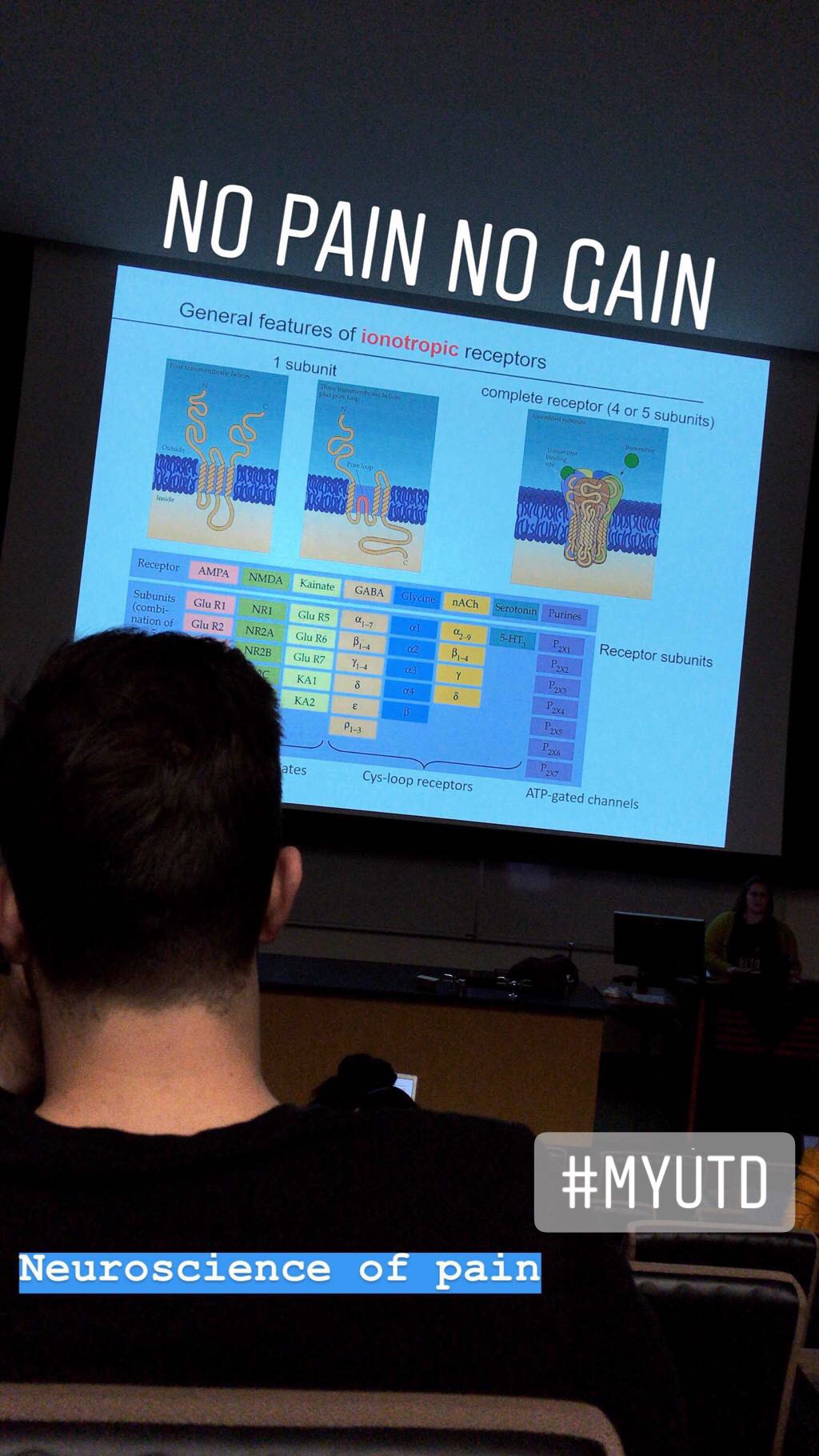A student's view in class. A slide with several illustrations is displayed on screen. 
